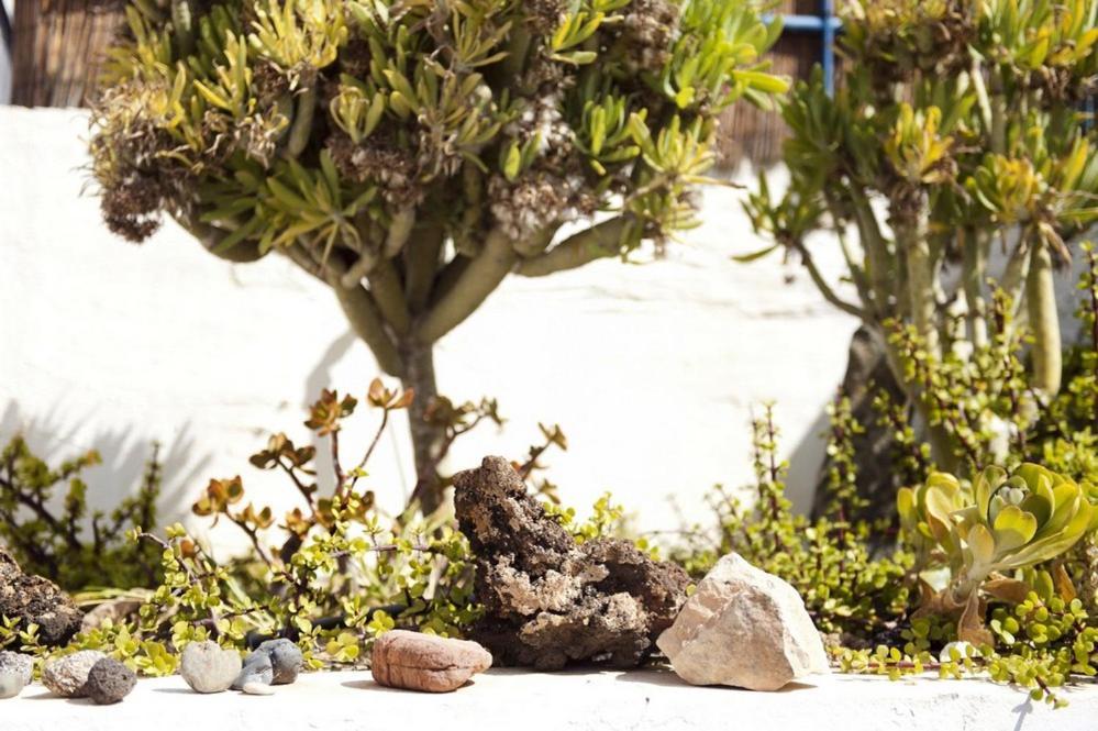 Holidays In Tarajalejo - Home Office With Sea View Bagian luar foto